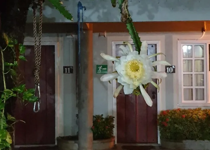 Hotel Liberia Hotel 3*